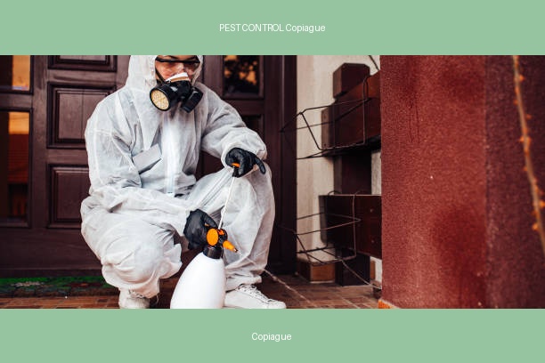 PEST CONTROL Copiague